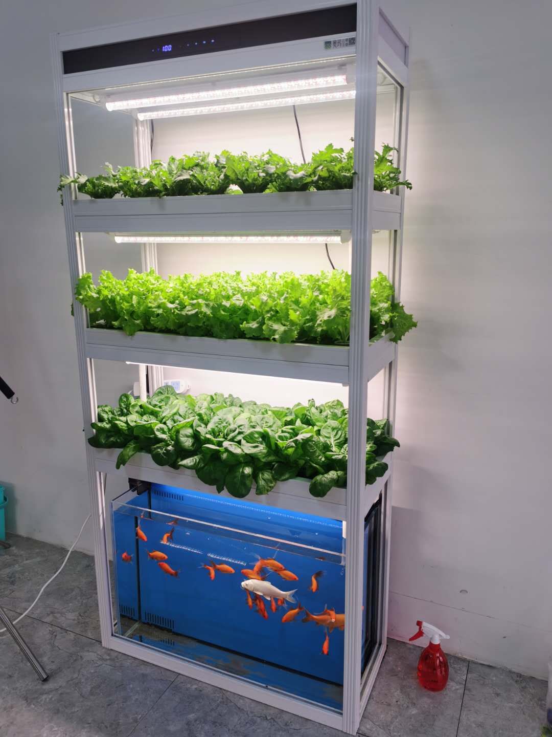 Maximize Your Gardening Potential with a Professional Aquaponic Growing System - 60 Ports, Grow Lights, and 100 Liter Tempered Glass Tank Included