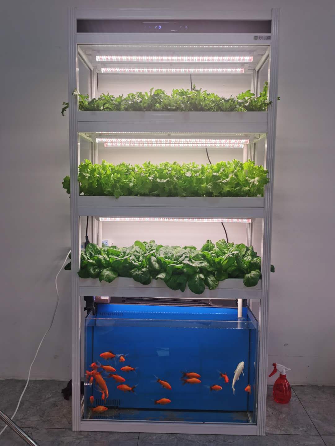 Maximize Your Gardening Potential with a Professional Aquaponic Growing System - 60 Ports, Grow Lights, and 100 Liter Tempered Glass Tank Included
