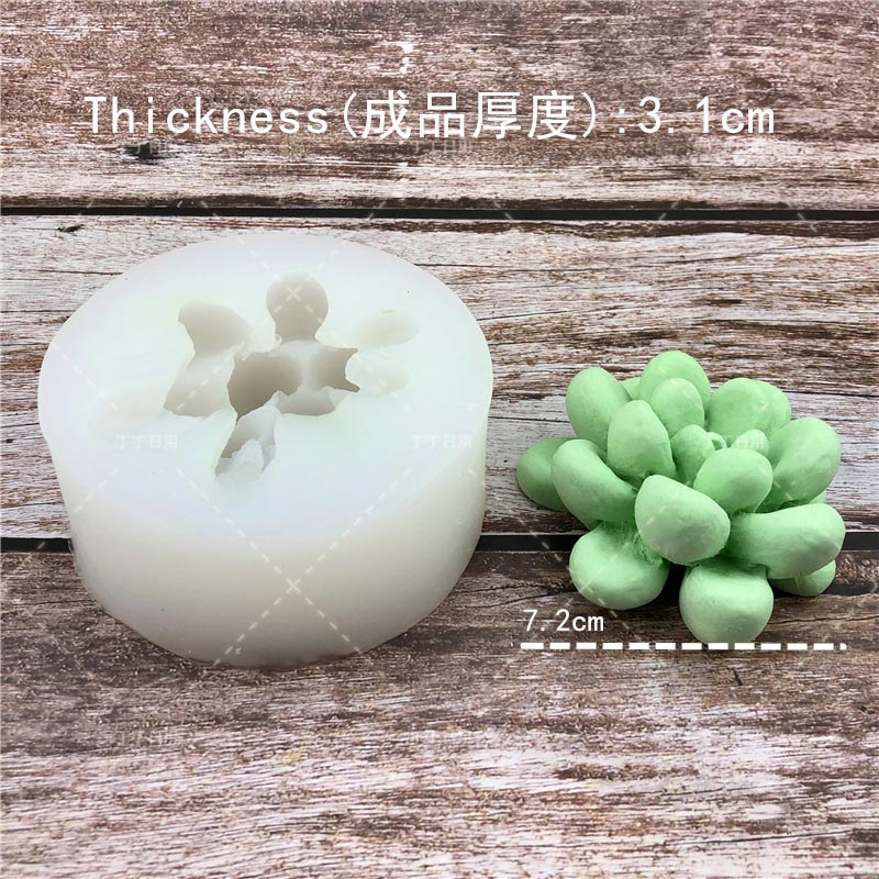 Create Your Own Succulent Plant Silicone Molds