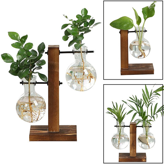 Elevate Your Home Decor with Our Stylish Terrarium Hydroponic Plant Vases - Transparent Vase with Wooden Frame, Perfect for Indoor Plants