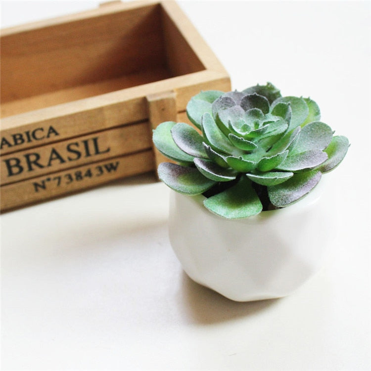 Artificial Succulents Including Pot (Sold Separately)