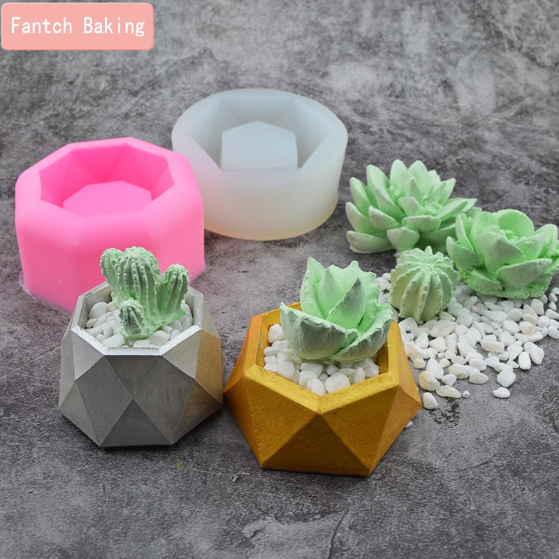 Create Your Own Succulent Plant Silicone Molds