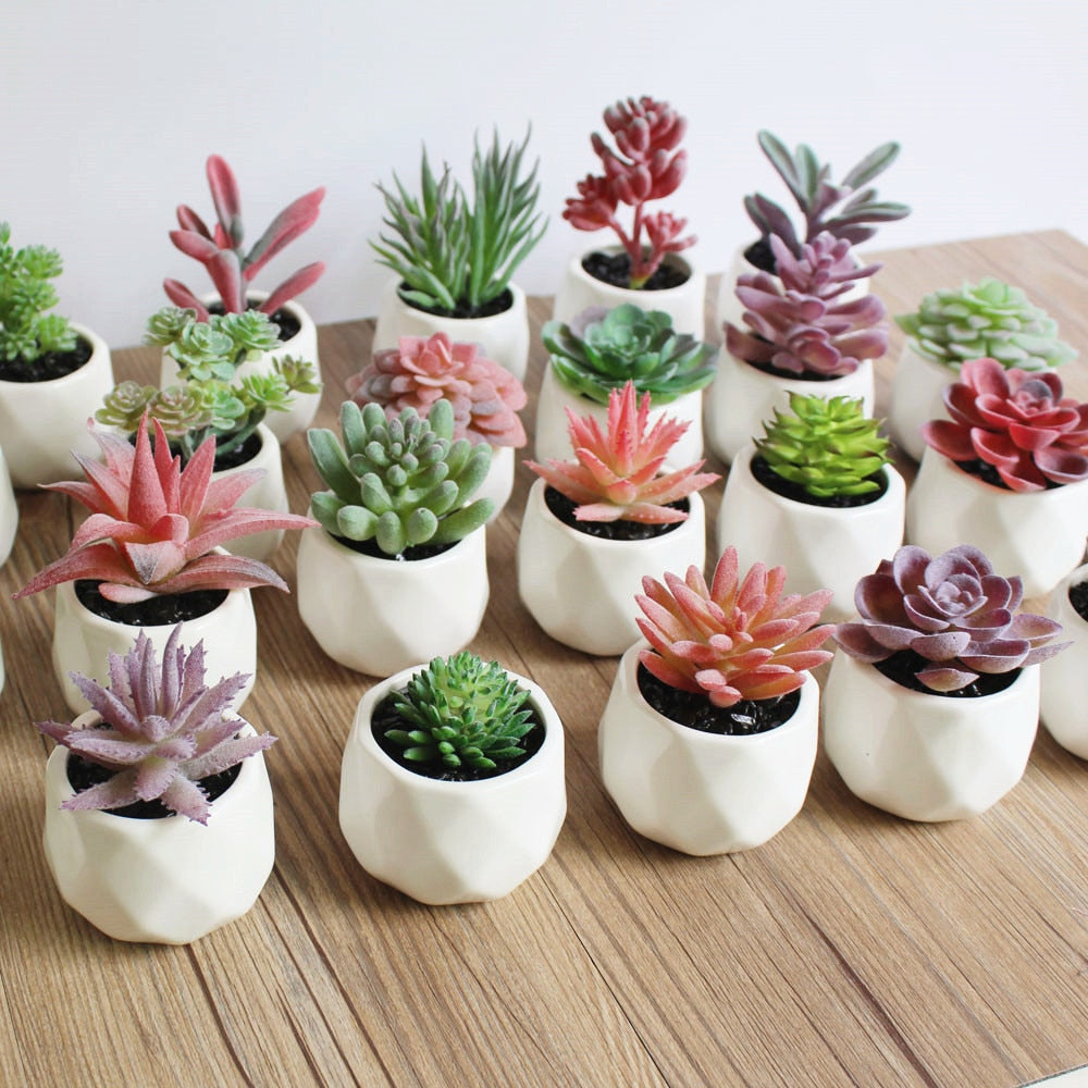 Artificial Succulents Including Pot (Sold Separately)