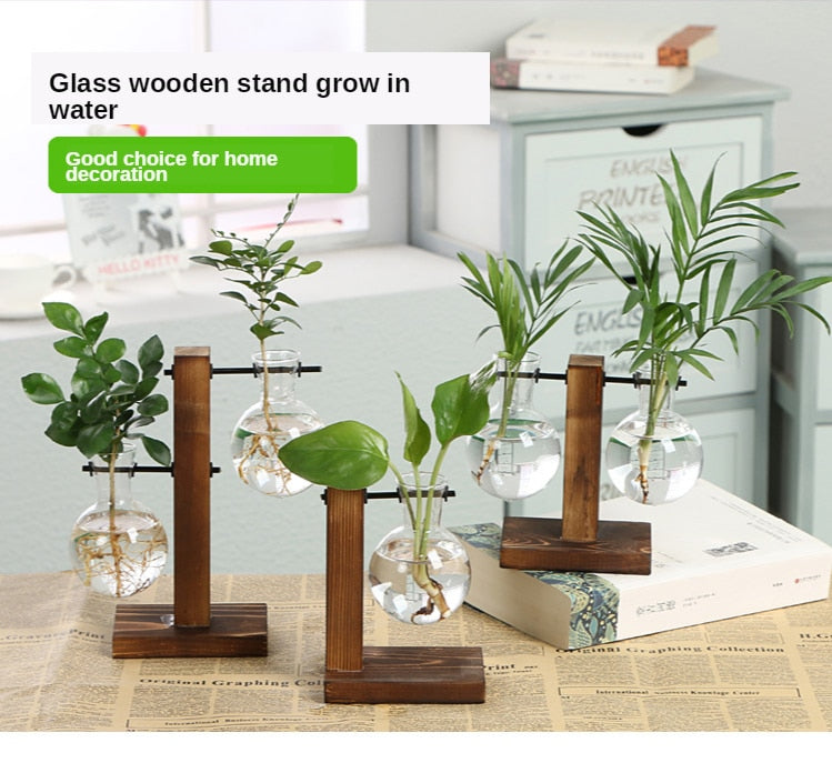 Elevate Your Home Decor with Our Stylish Terrarium Hydroponic Plant Vases - Transparent Vase with Wooden Frame, Perfect for Indoor Plants