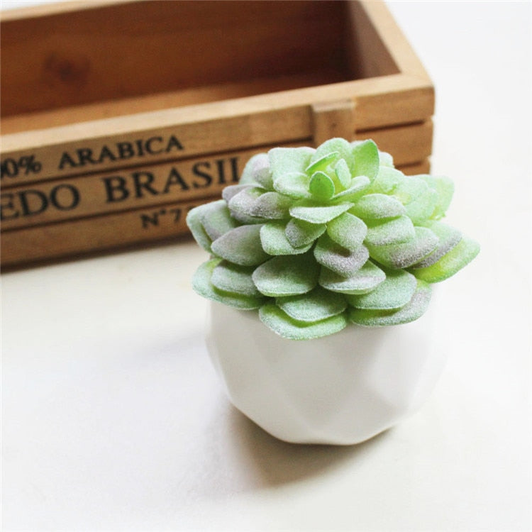 Artificial Succulents Including Pot (Sold Separately)