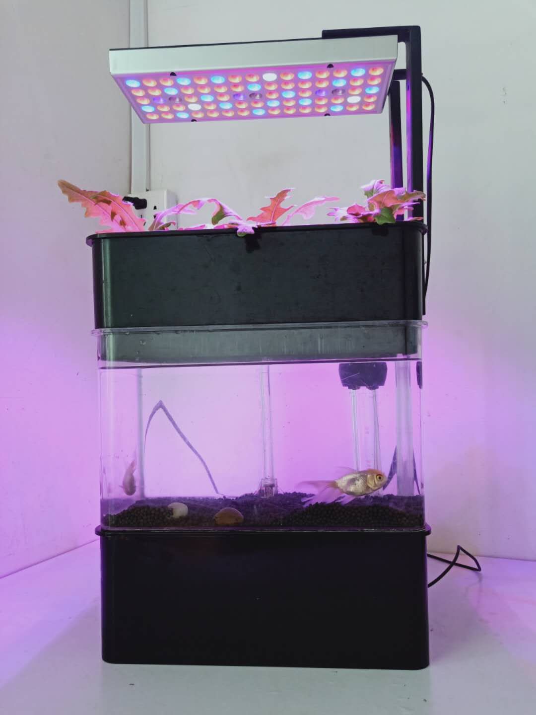 Aquaponic Aquarium with LED Grow Light and 15 Liter Tank for Sustainable and Self-Sufficient Indoor Gardening