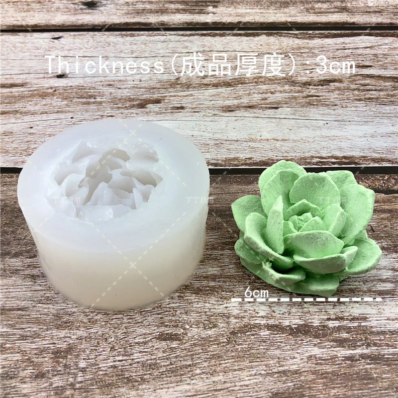 Create Your Own Succulent Plant Silicone Molds