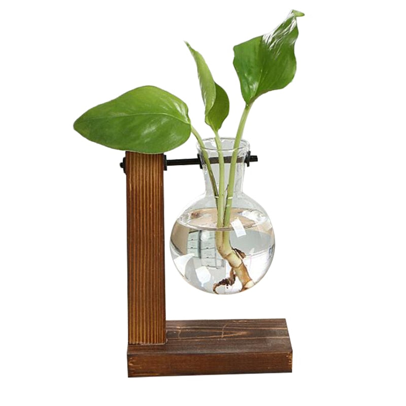 Elevate Your Home Decor with Our Stylish Terrarium Hydroponic Plant Vases - Transparent Vase with Wooden Frame, Perfect for Indoor Plants