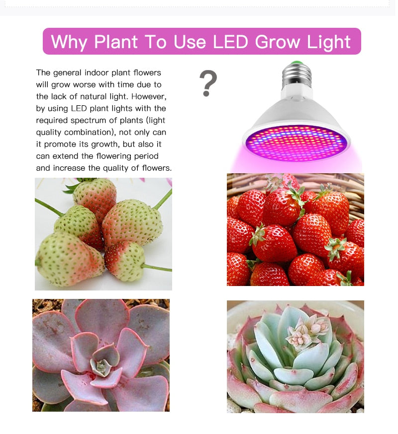 Flexible Gooseneck LED Grow Light: Full Spectrum, Dual Lamps, Expandable Bulbs with 3-Year Warranty