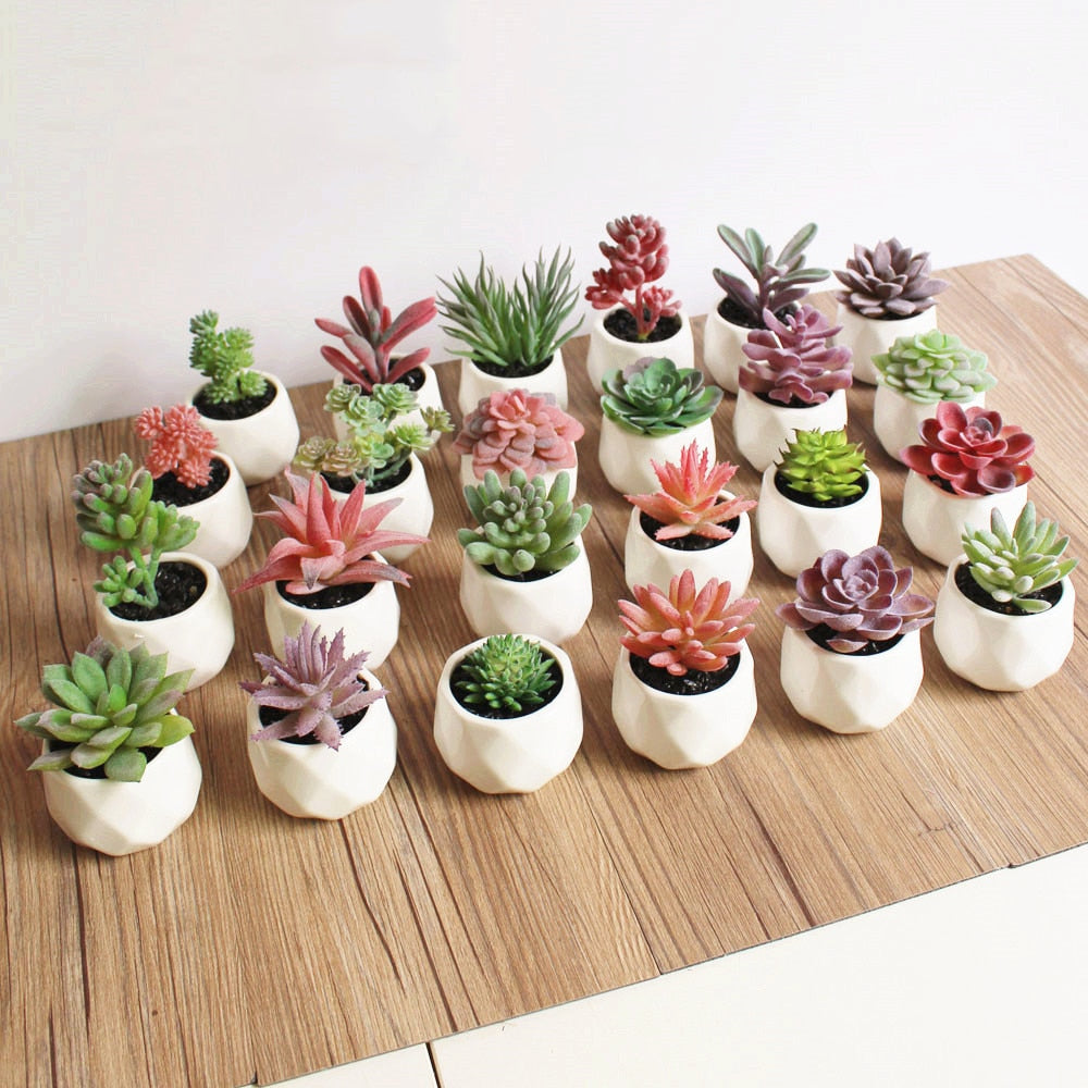 Artificial Succulents Including Pot (Sold Separately)