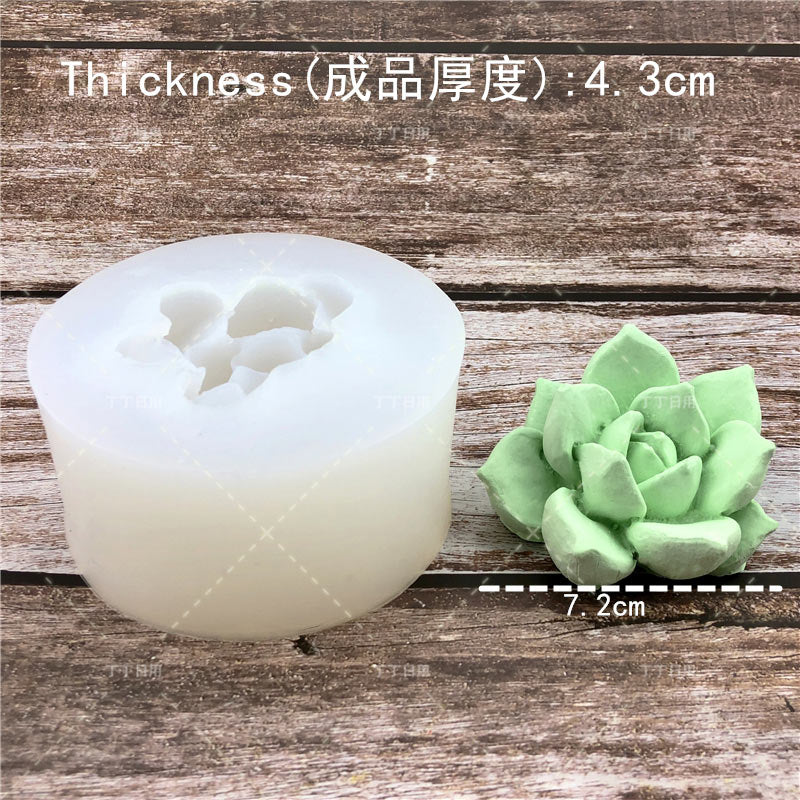 Create Your Own Succulent Plant Silicone Molds