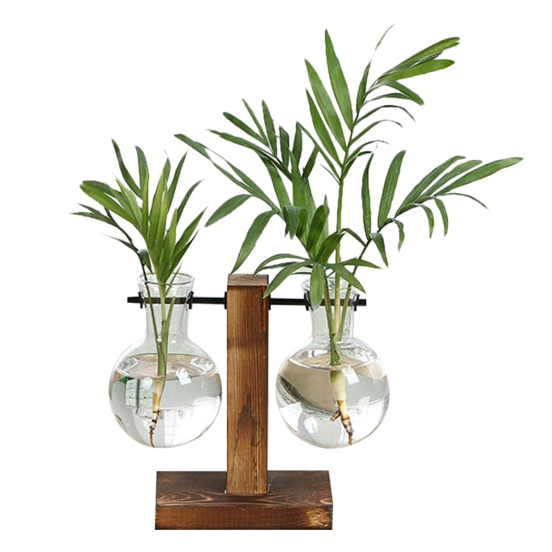 Elevate Your Home Decor with Our Stylish Terrarium Hydroponic Plant Vases - Transparent Vase with Wooden Frame, Perfect for Indoor Plants