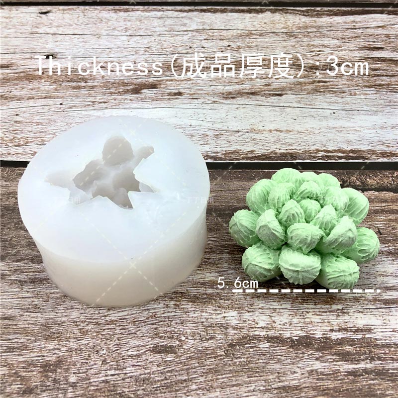 Create Your Own Succulent Plant Silicone Molds