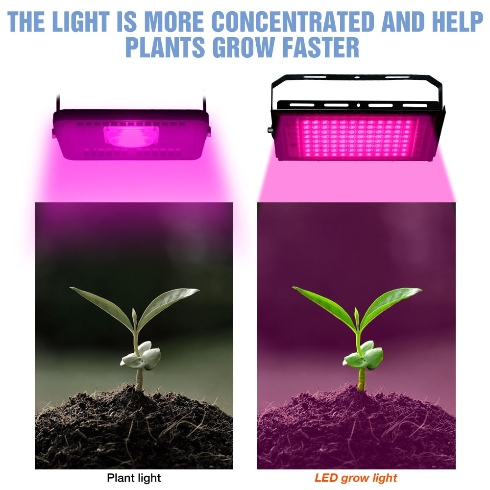 Revolutionize Your Indoor Garden with Our High-Performance Full Spectrum LED Grow Lights: Available in 25W, 50W, 100W, and 200W - Backed by 3-Year Warranty!