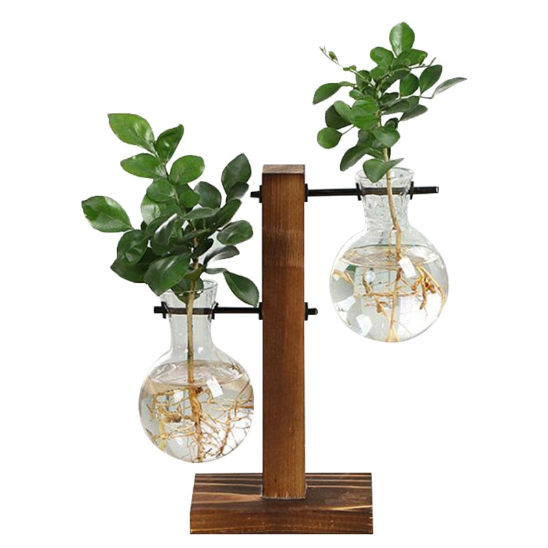 Elevate Your Home Decor with Our Stylish Terrarium Hydroponic Plant Vases - Transparent Vase with Wooden Frame, Perfect for Indoor Plants