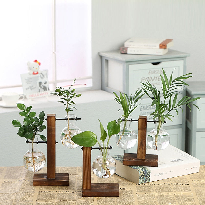 Elevate Your Home Decor with Our Stylish Terrarium Hydroponic Plant Vases - Transparent Vase with Wooden Frame, Perfect for Indoor Plants