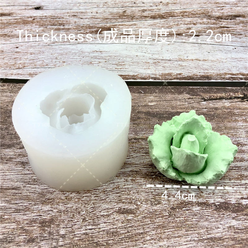 Create Your Own Succulent Plant Silicone Molds