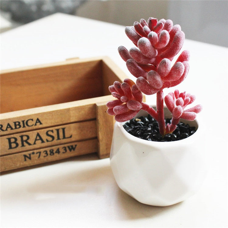 Artificial Succulents Including Pot (Sold Separately)