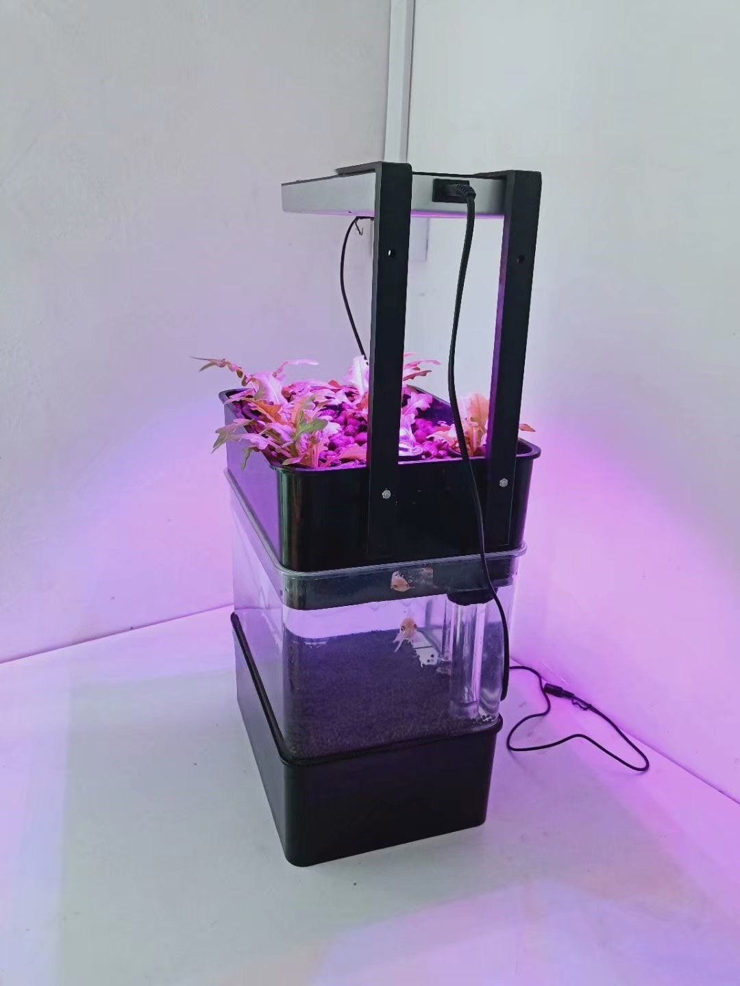 Aquaponic Aquarium with LED Grow Light and 15 Liter Tank for Sustainable and Self-Sufficient Indoor Gardening