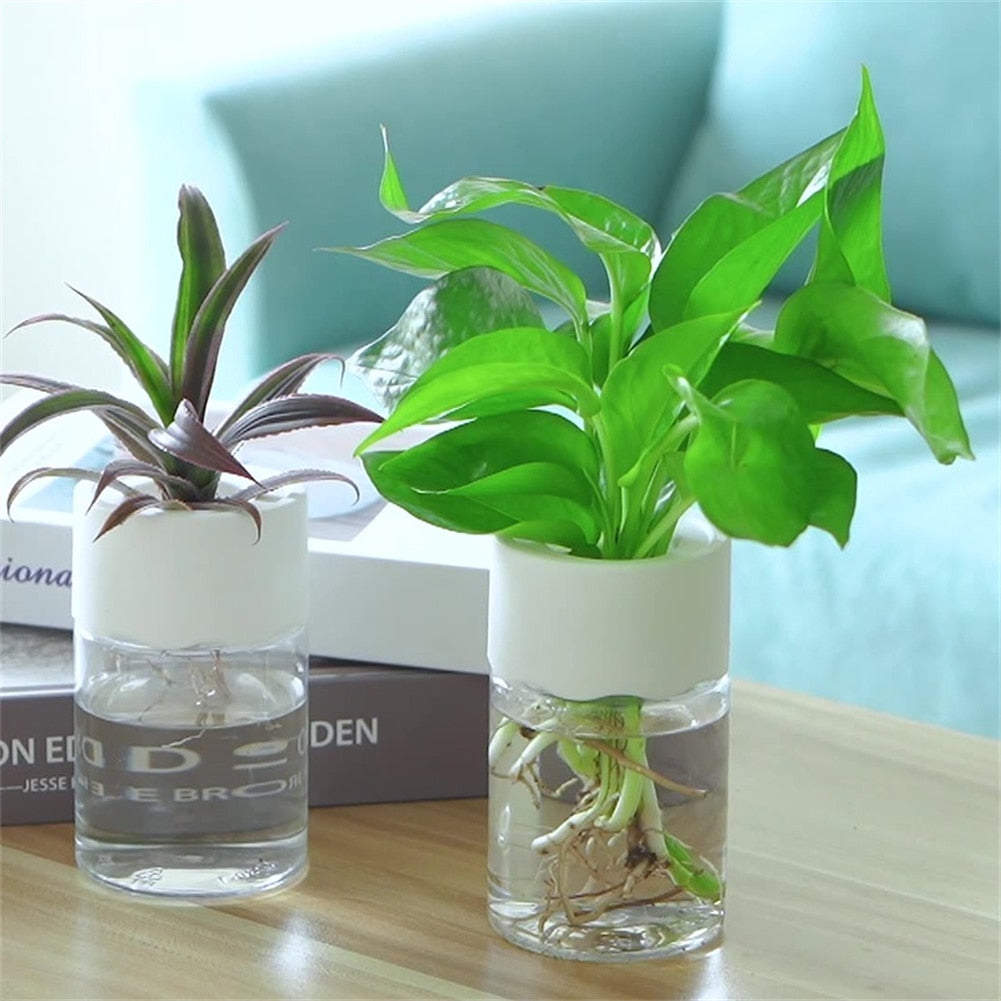 Stylish Hydroponic Flowerpot - The Perfect Aquaponic Planter for Home and Office Decor!