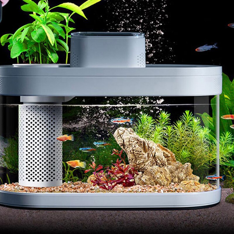 Compact Aquaponic Fish Tank - The Ultimate Self-Sustaining Home Decor