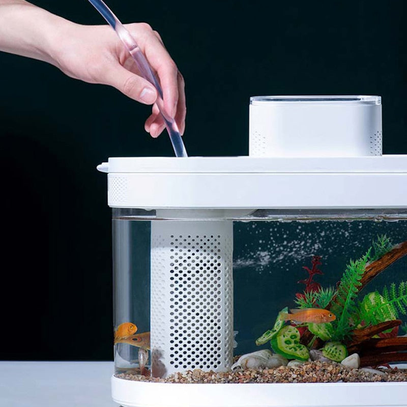 Compact Aquaponic Fish Tank - The Ultimate Self-Sustaining Home Decor