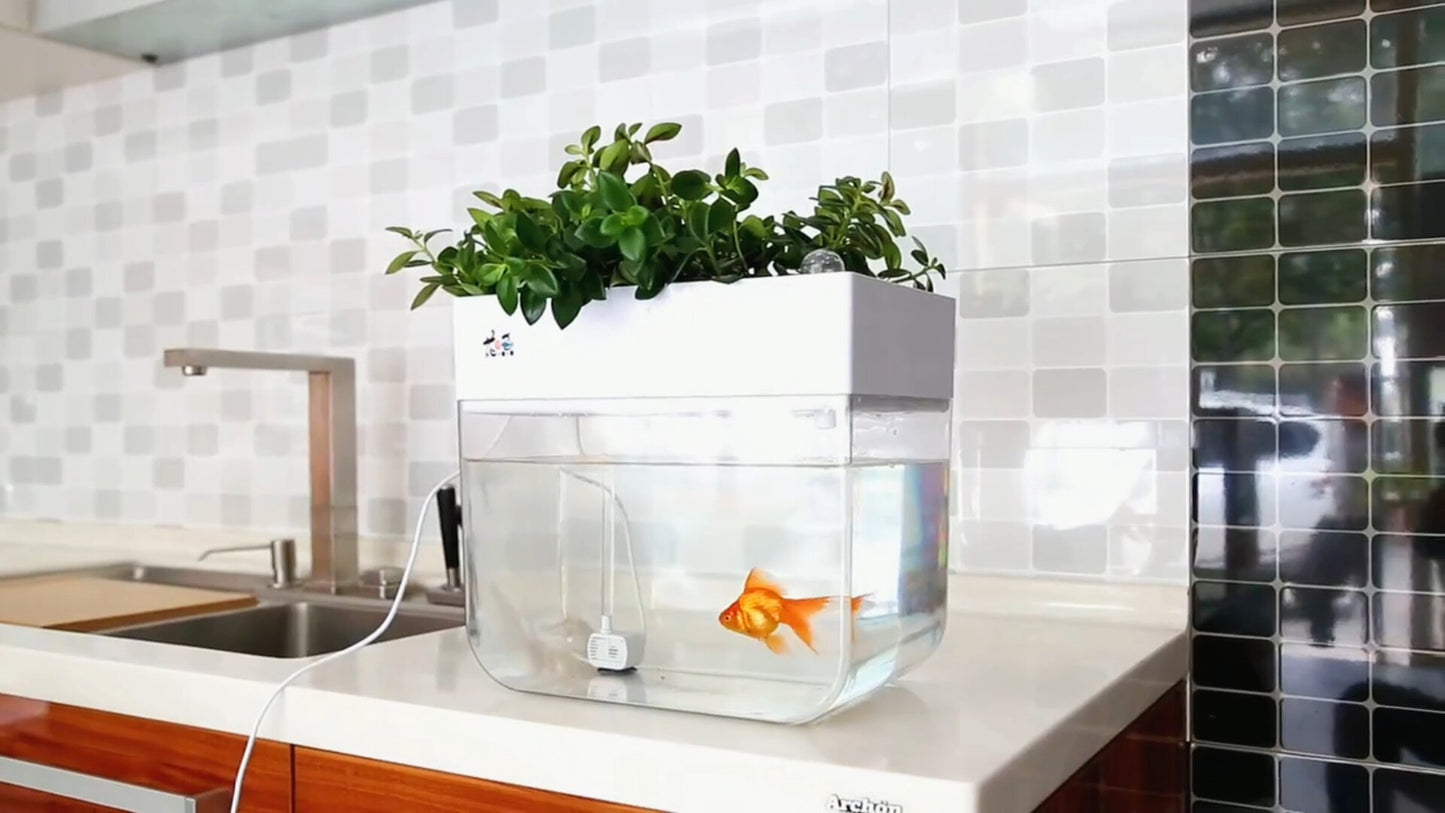 Compact Aquaponic Gardening System with 8 Liter Tank - Grow Fresh Produce at Home!