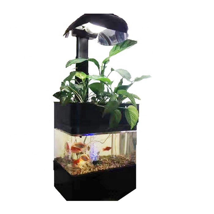 Create a Thriving Ecosystem with an Aquaponic Aquarium - Complete with Light Fixture and Air Pump