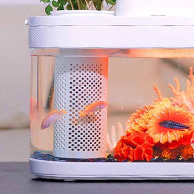 Compact Aquaponic Fish Tank - The Ultimate Self-Sustaining Home Decor