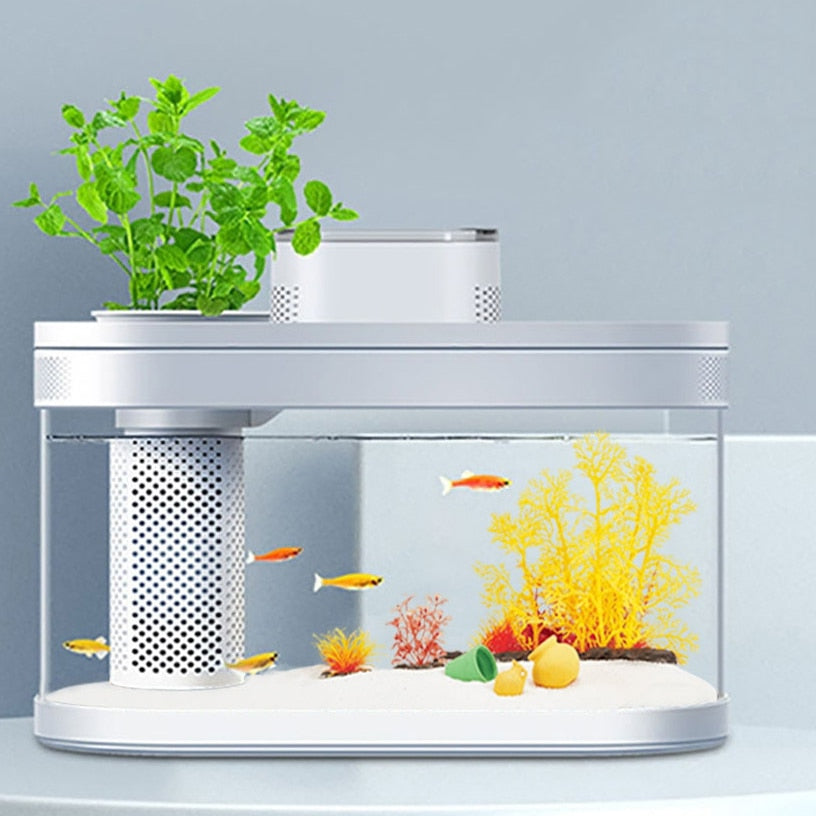 Compact Aquaponic Fish Tank - The Ultimate Self-Sustaining Home Decor