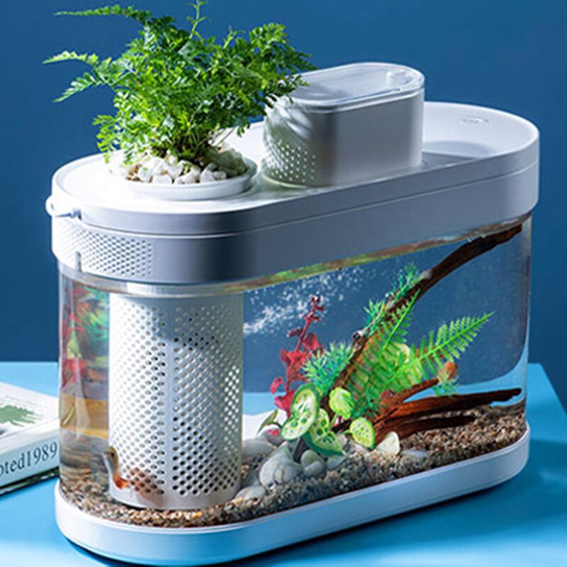 Compact Aquaponic Fish Tank - The Ultimate Self-Sustaining Home Decor