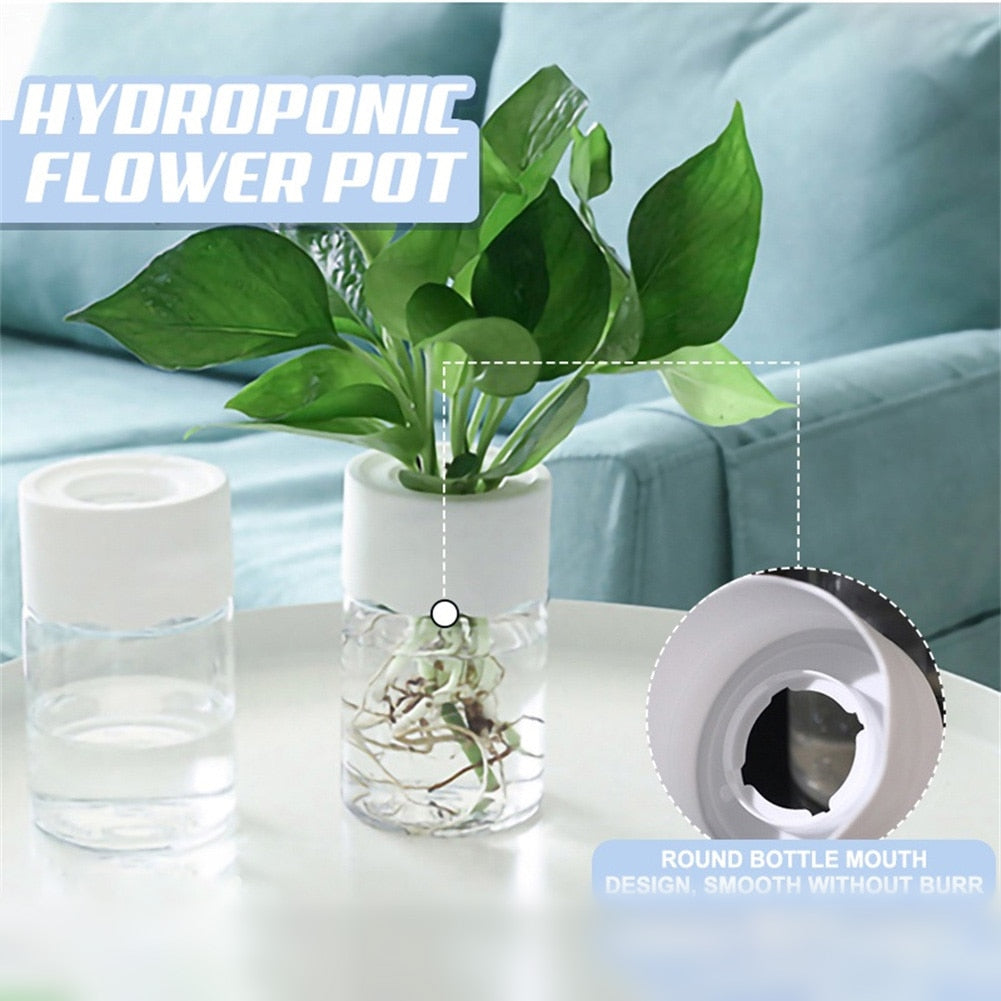 Stylish Hydroponic Flowerpot - The Perfect Aquaponic Planter for Home and Office Decor!