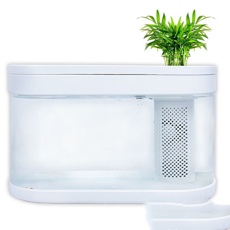 Compact Aquaponic Fish Tank - The Ultimate Self-Sustaining Home Decor