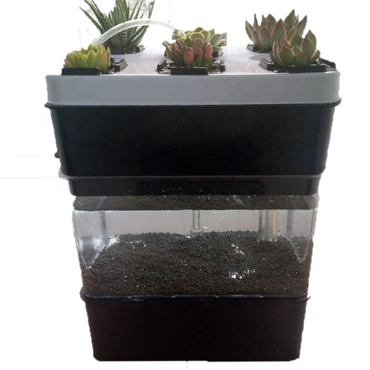 Create a Thriving Ecosystem with an Aquaponic Aquarium - Complete with Light Fixture and Air Pump