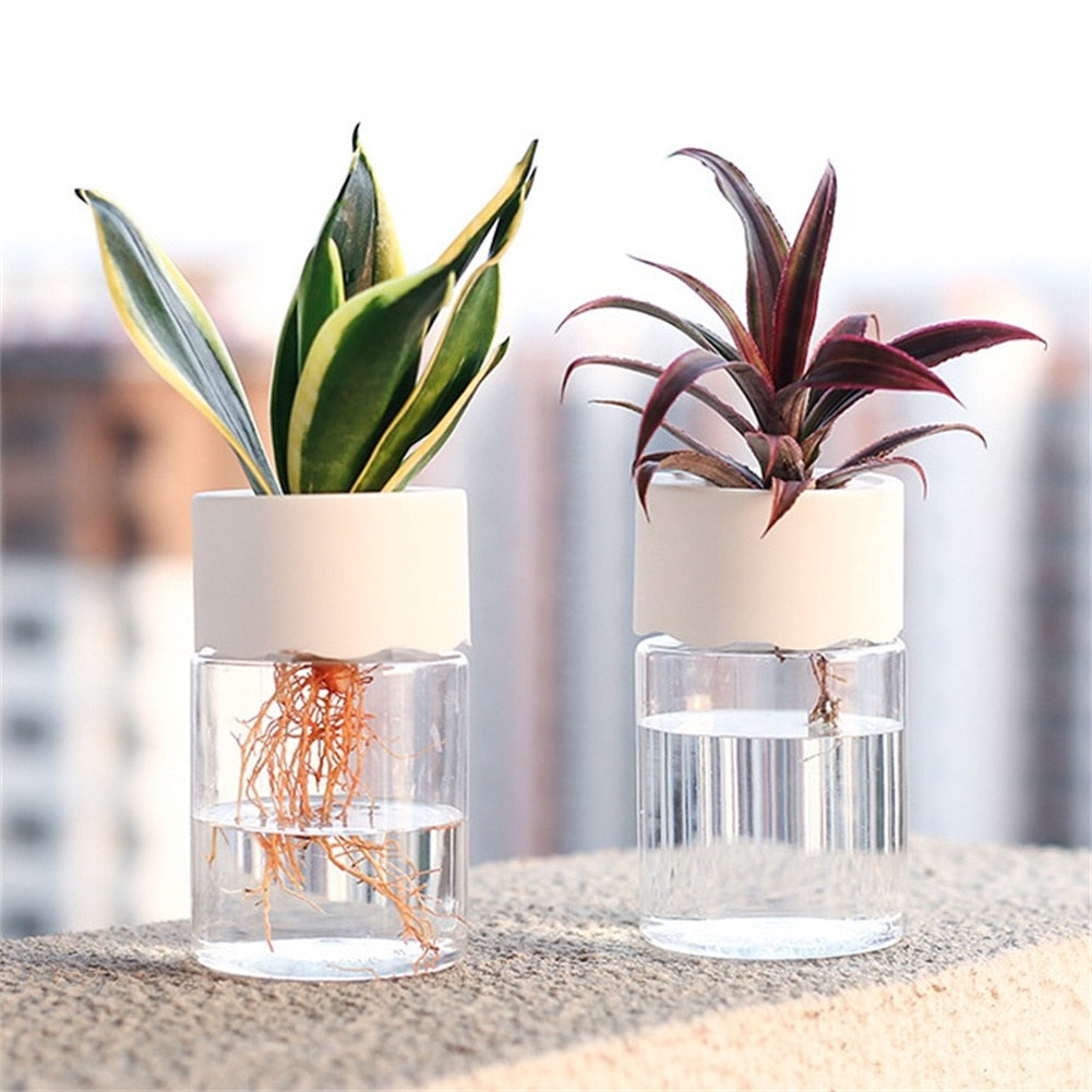 Stylish Hydroponic Flowerpot - The Perfect Aquaponic Planter for Home and Office Decor!