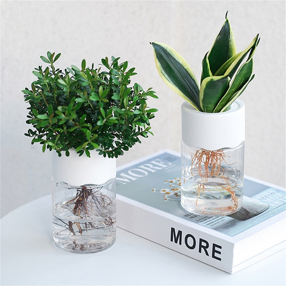 Stylish Hydroponic Flowerpot - The Perfect Aquaponic Planter for Home and Office Decor!